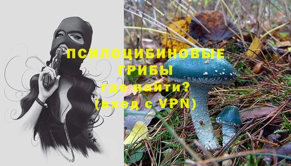 прущая мука Богданович