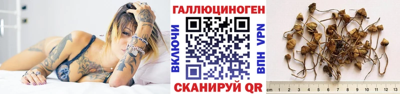Псилоцибиновые грибы Cubensis Электроугли